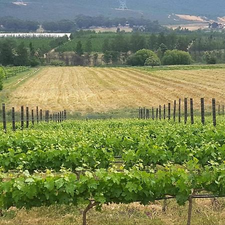 Vila Lemberg Wine Estate Tulbagh Exteriér fotografie