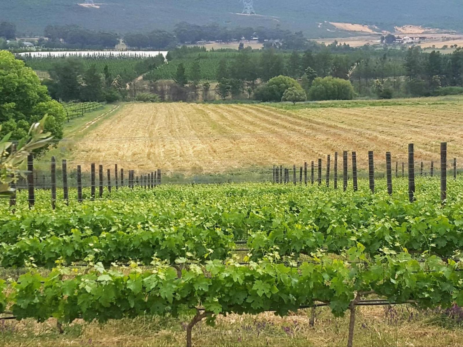 Vila Lemberg Wine Estate Tulbagh Exteriér fotografie
